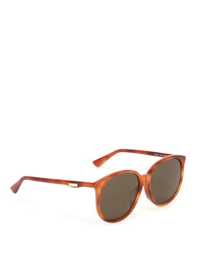 Shop Gucci Havana Sunglasses In Light Brown