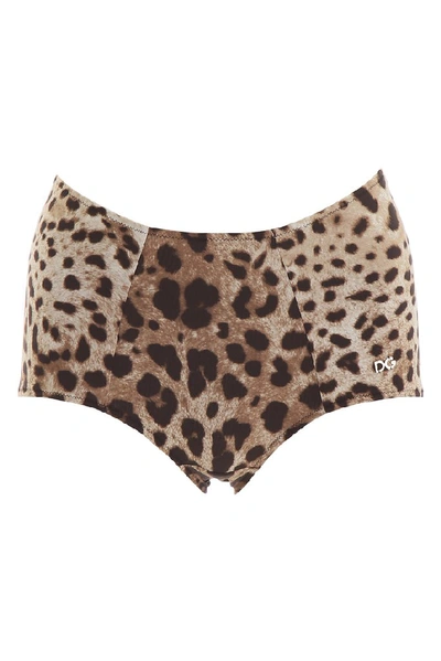 Shop Dolce & Gabbana Leopard Print Bikini Bottoms In Multi