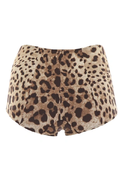 Shop Dolce & Gabbana Leopard Print Bikini Bottoms In Multi