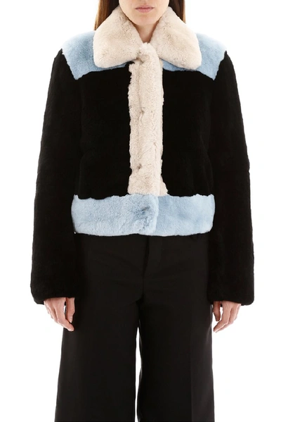 Shop Marni Cropped Fur Jacket In Multi
