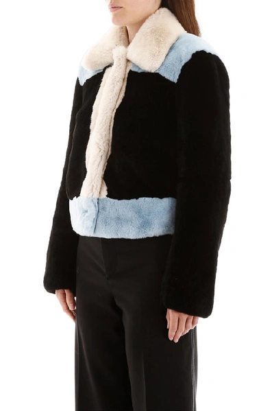 Shop Marni Cropped Fur Jacket In Multi