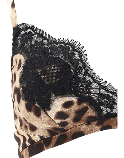 Shop Dolce & Gabbana Leopard Printed Lace Trimmed Bra In Multi