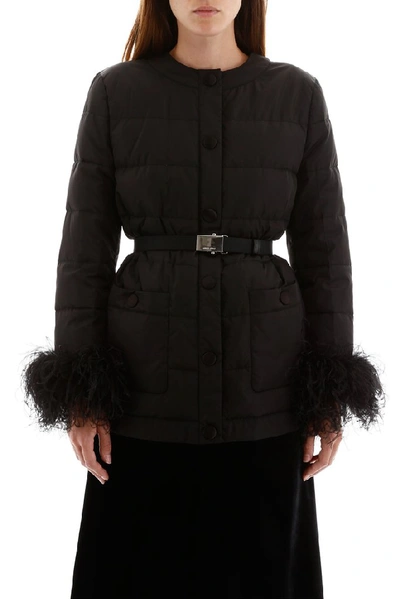 Shop Miu Miu Feather Cuffs Belted Jacket In Black