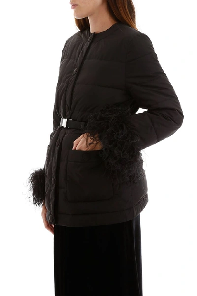 Shop Miu Miu Feather Cuffs Belted Jacket In Black