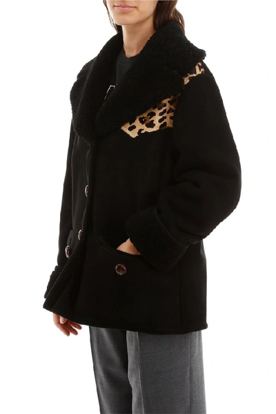 Shop Miu Miu Leopard Print Shearling Jacket In Black