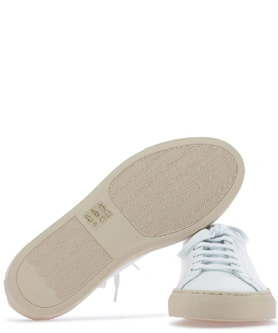 Shop Common Projects Achilles Low In White