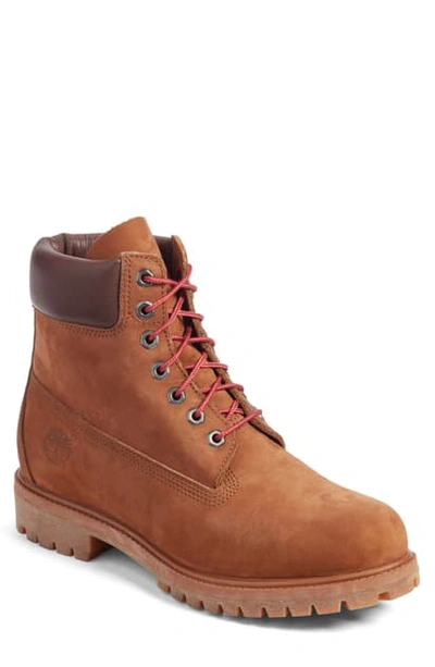 Shop Timberland 6 Inch Premium Waterproof Boot In Tundra Waterbuck