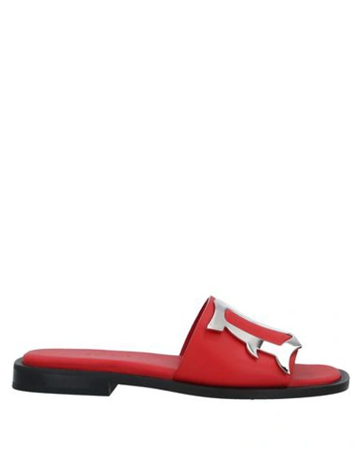 Shop Dondup Sandals In Red