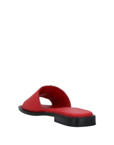 Shop Dondup Sandals In Red