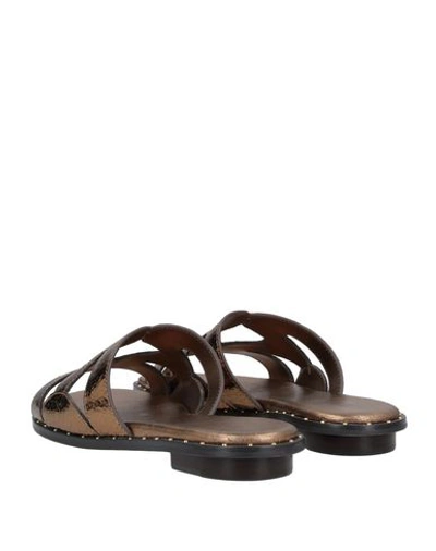 Shop Michael Michael Kors Sandals In Bronze