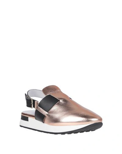 Shop Alberto Guardiani Mules In Copper