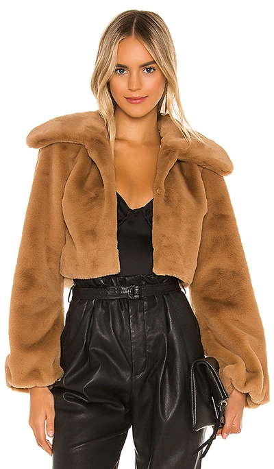 Shop Camila Coelho Cleobella Cropped Faux Fur Jacket In Light Walnut