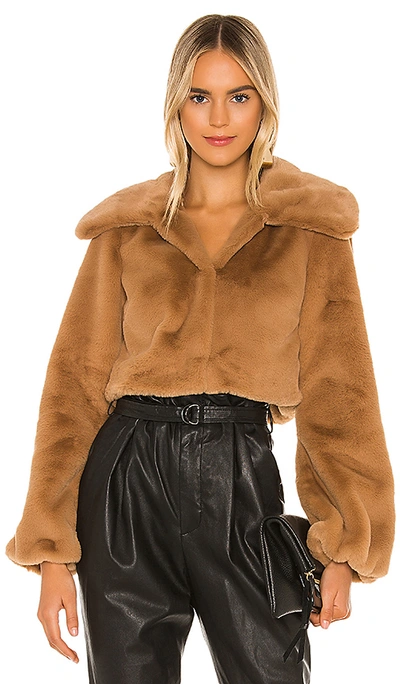 Shop Camila Coelho Cleobella Cropped Faux Fur Jacket In Light Walnut