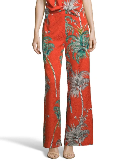 Shop Robert Graham Cora Monkey Botanical Printed Pants In Multi