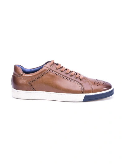 Shop Robert Graham Gettys Sneaker In Cognac