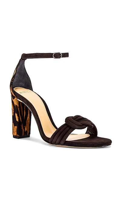 Shop Alexandre Birman Vicky Sandal In Desta Di Moro & Walnut