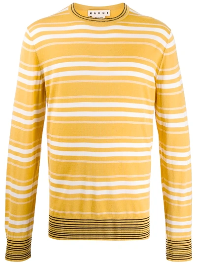 Shop Marni Double Stripe Sweater In Yellow
