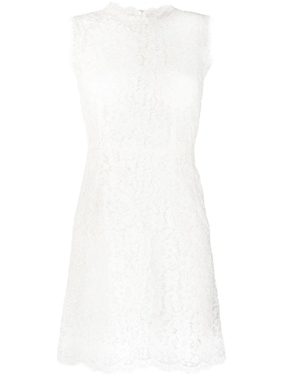 Shop Dolce & Gabbana Lace Shift Short Dress In White