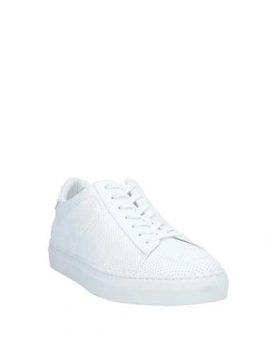 Shop Dondup Sneakers In White