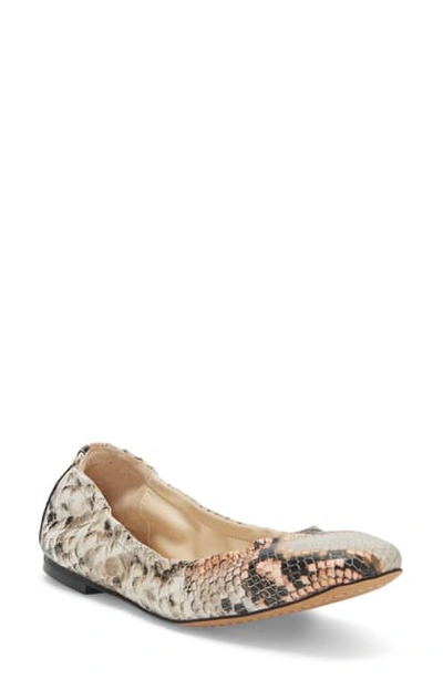 Shop Vince Camuto Brindin Flat In Creamsicle Leather