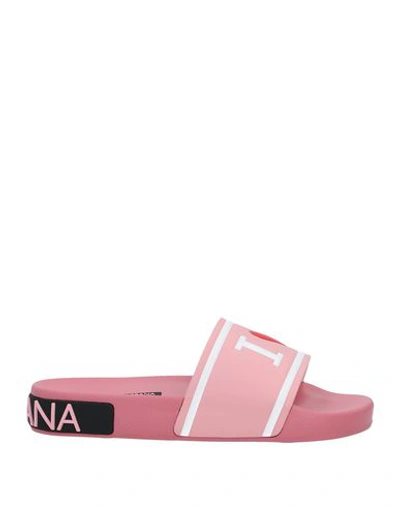 Shop Dolce & Gabbana Sandals In Pink