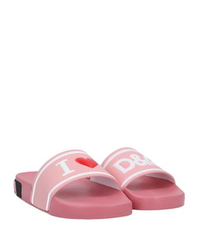 Dolce & Gabbana Sandals In Pink