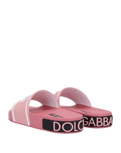 Shop Dolce & Gabbana Sandals In Pink