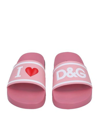 Shop Dolce & Gabbana Sandals In Pink