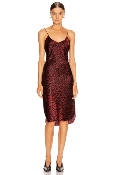 Shop Nili Lotan Short Cami Dress In Ruby Leopard Print