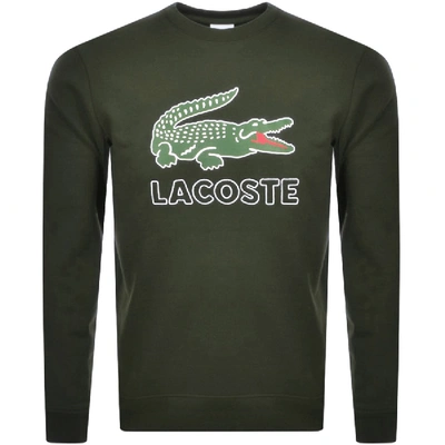 Shop Lacoste Large Crocodile Sweatshirt Green