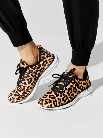 Shop Apl Athletic Propulsion Labs Iconic Pro In Cheetah