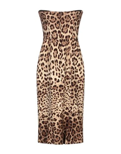 Shop Dolce & Gabbana Woman Midi Dress Beige Size 10 Silk, Elastane