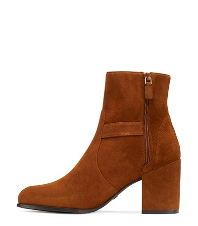 Shop Stuart Weitzman Benedicta In Coffee Brown Suede