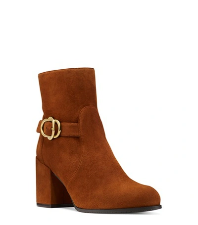 Shop Stuart Weitzman Benedicta In Coffee Brown Suede