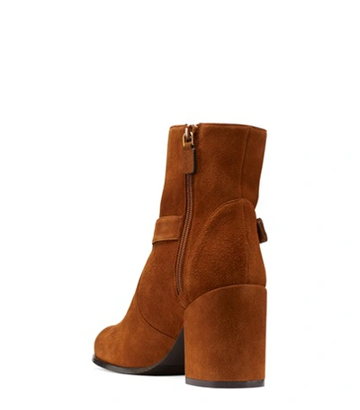 Shop Stuart Weitzman Benedicta In Coffee Brown Suede