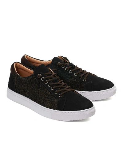 Shop Robert Graham Lima Sneaker In Black