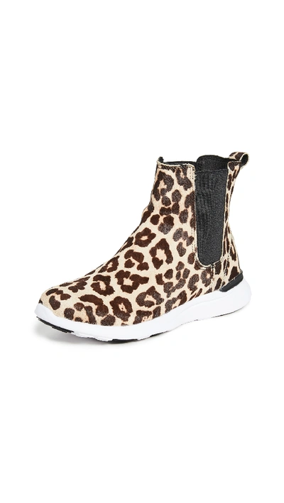 Shop Apl Athletic Propulsion Labs Iconic Chelsea Sneakers In Leopard