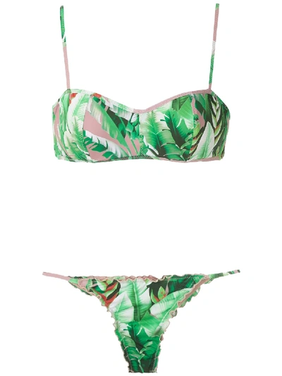 Shop Amir Slama Flower Print Bikini Set In Green