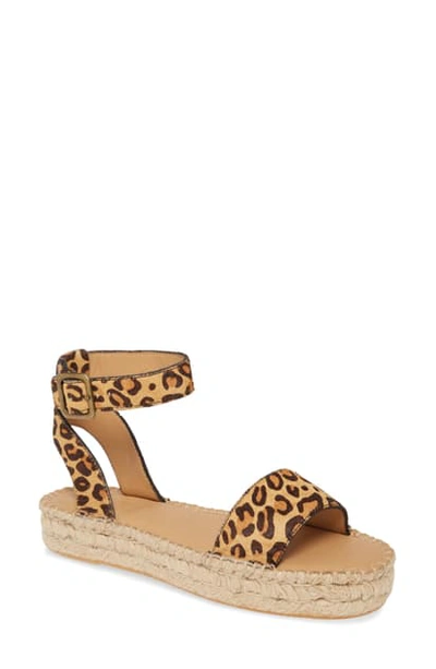 Shop Soludos Cadiz Espadrille Sandal In Leopard Print