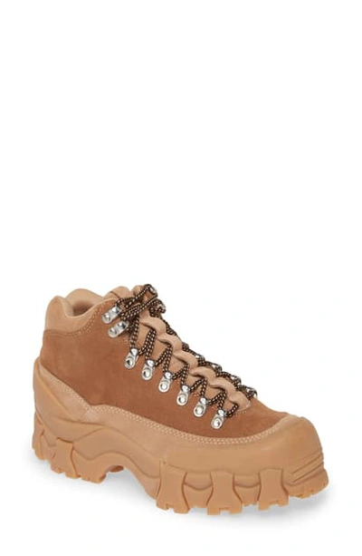 Shop Jeffrey Campbell Snowstorm Platform Sneaker In Honey Combo