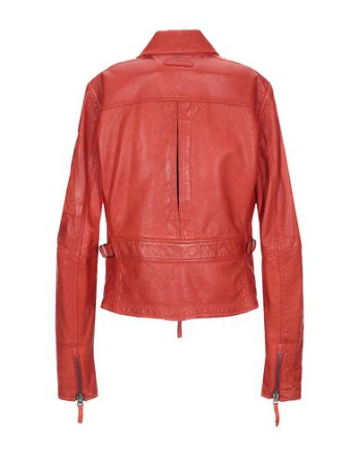 Shop Parajumpers Jackets In Rust