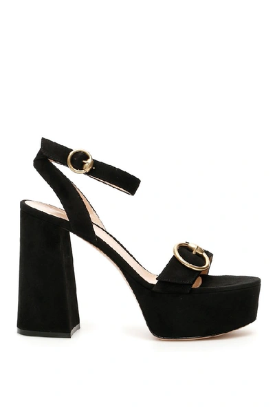 Shop Gianvito Rossi Ankle Strap Block Heeled Suede Sandals In Black