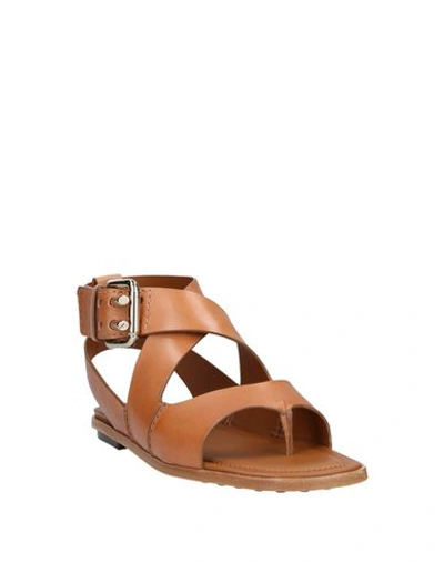 Tod's Toe Strap Sandals In Brown