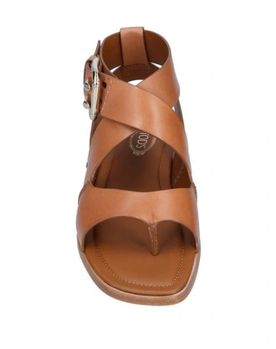 Tod's Toe Strap Sandals In Brown