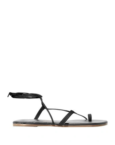 Shop Tkees Toe Strap Sandals In Black