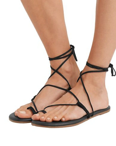 Shop Tkees Toe Strap Sandals In Black