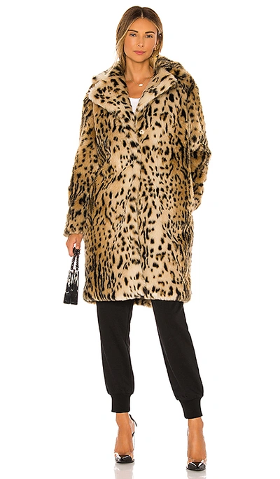 Shop Cupcakes And Cashmere Jericho Faux Fur Coat In Leopard