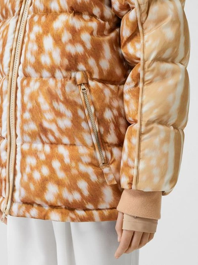 Shop Burberry Deer Print Econyl® Puffer Jacket In Honey