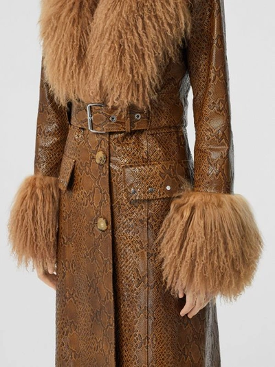 Shop Burberry Shearling Trim Python Print Leather Coat In Brown