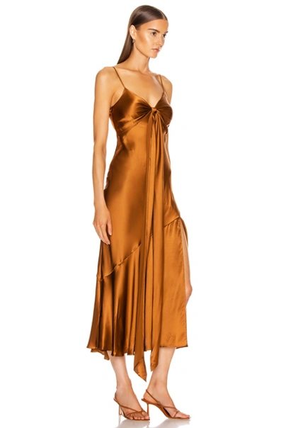 Shop Nicholas Sabine Dress In Bronze
